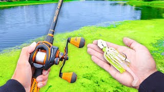 Fishing a CHATTERDONK for BIG Bass (Bank Fishing) screenshot 5