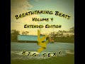 2022 - Breathtaking Beats Vol. 4 Extended Edition - Track 21