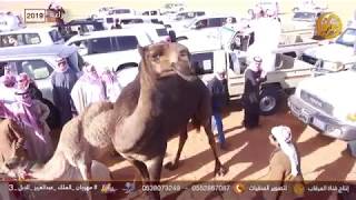 الفردية فزاعه لمالك الفردية حشر بن محسن المسعري الدوسري 2019