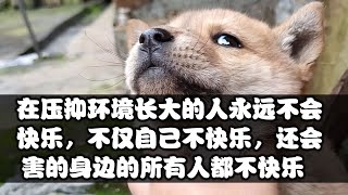 Download Lagu 在压抑环境长大的人永远不会快乐，不仅自己不快乐，还会害的身边的所有人都不快乐。            【为什么我的母亲从来都不快乐，而且总是轻而易举的夺走全家人的快乐？】 MP3
