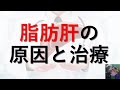 【医師が解説】脂肪肝の原因と症状、改善するための方法