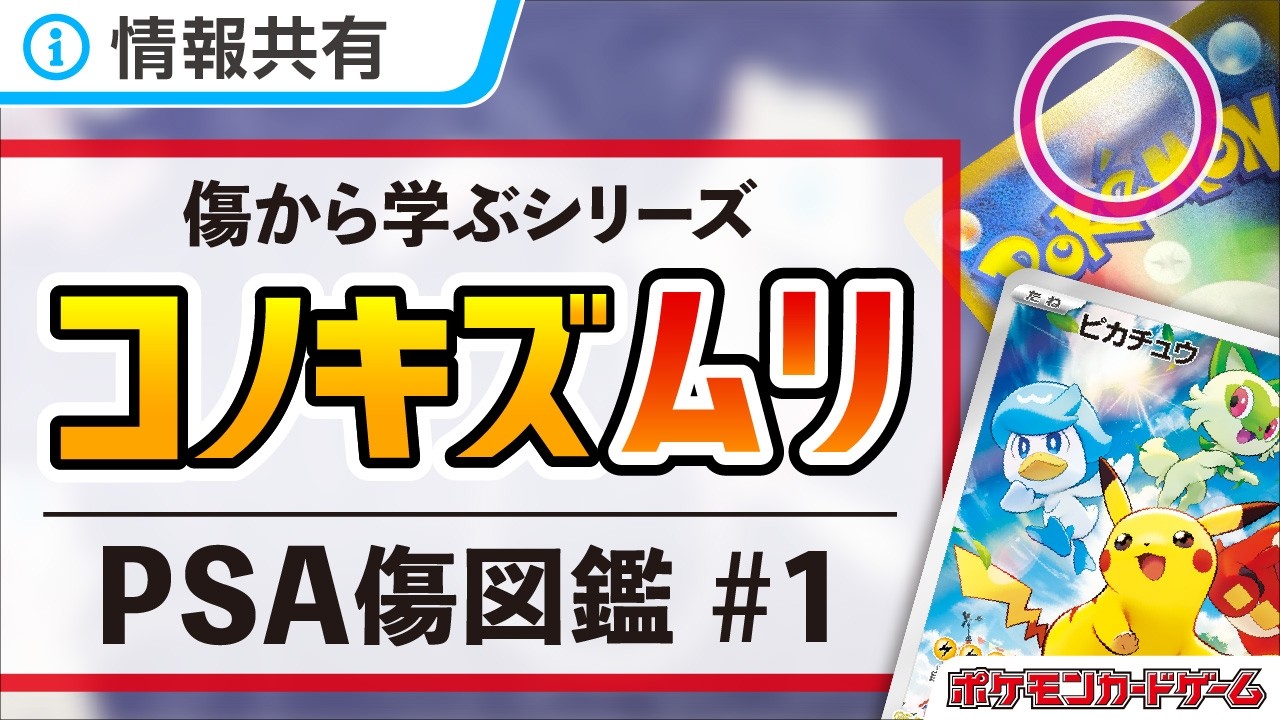 【ポケカ】ほぼ全ての傷でPSA10取れます！傷を質問するのは無駄！
