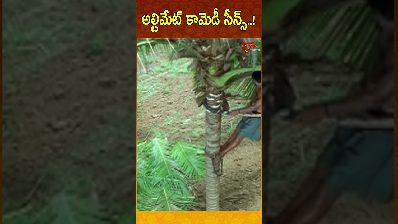 అల్టిమేట్ కామెడీ సీన్స్ 