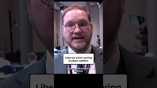 Liberals pitch spring budget update. #canada #news #shorts #cdnpoli #budget #politics #canadian #fyp