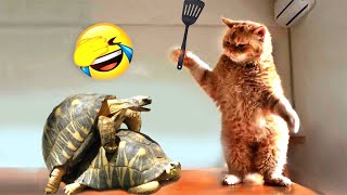 Funniest Animals 2023 😂😂 Best Cats and Dogs Videos 🐶😸 #30