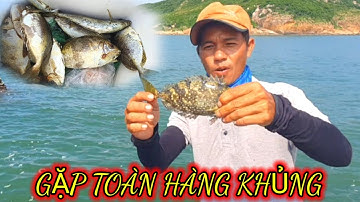 VUONG LT VOLG | câu cá biển | hòn nhàn _ bãi xếp gặp toàn cá khủng