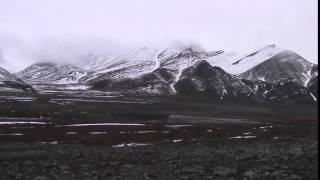 Svalbard (Ytterdalen), September 2014