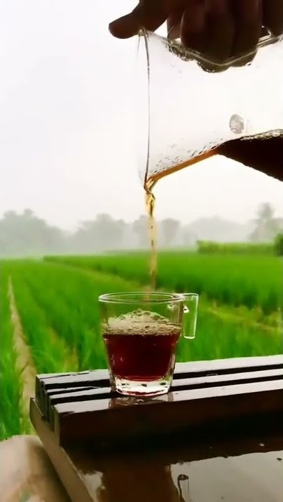 ngopi diwaktu hujan