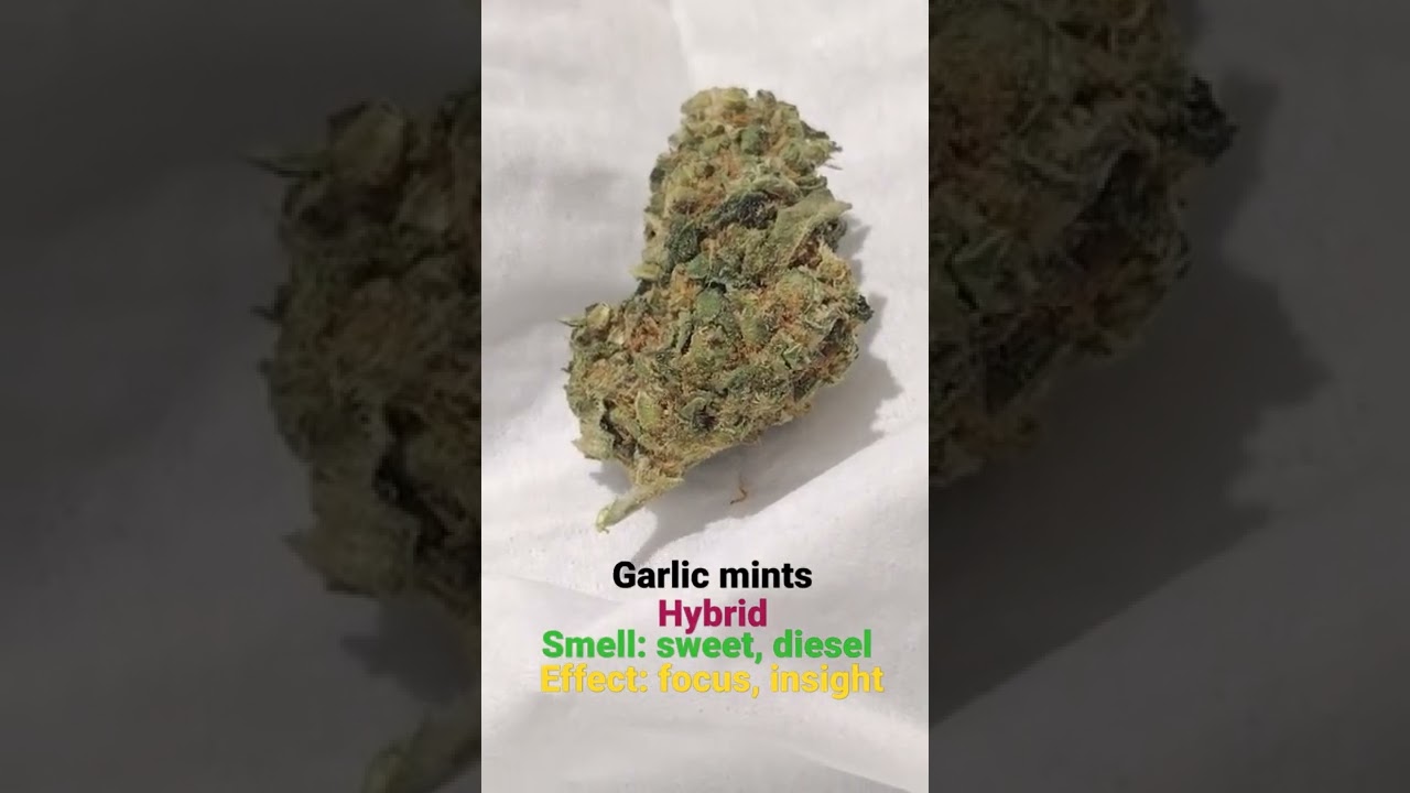 A creative strain with bag appeal, strain review is 7/10