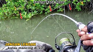 Jangan lengah mancing di sini. Ikan besar bermunculan.!! Mancing kakap putih.!!