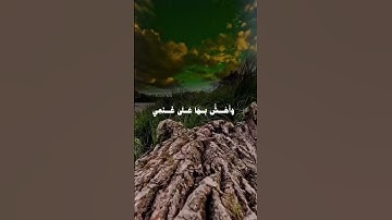 سورة(طه)اكتب شيء تؤجر عليه