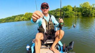 Kayak Catfishing with Live Shad | Cut Bait vs. Live Bait Side by Side Challenge