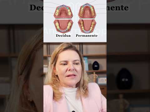 Aprenda sobre Dentição