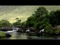 Nature sounds for sleeping  forest waterfall  birds singing  relaxing sound of water  birdsong