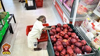 YoYo Jr goes to the supermarket make dinner with Dad