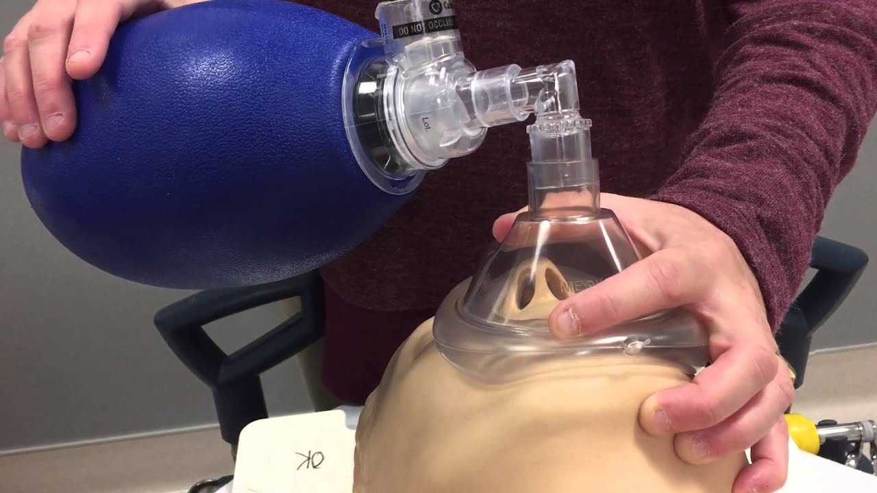 Silicone Resuscitator, Ambu Bag Blue - Adult GM205 |Envmart|