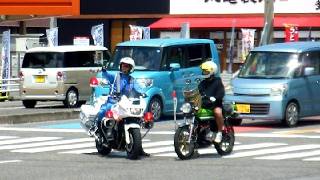 Serious Craziness on Japanese Roads!!