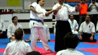 Koshukai 2010 - Pereyra Miguel Org. Uruguaya de Aikido