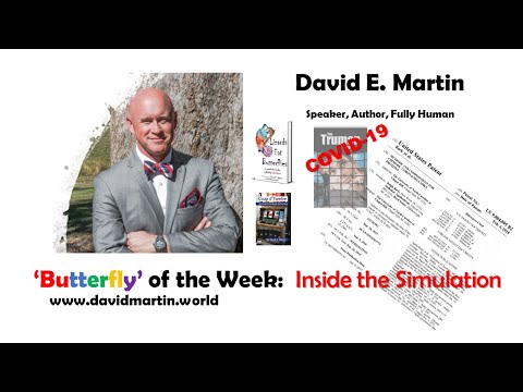 David Martin World