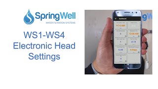 WS1 WS4 Electronic Heads Settings v2