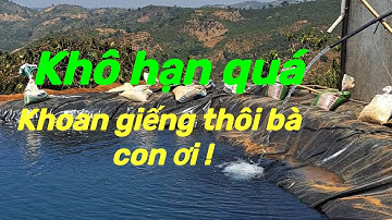 Khoan giếng chống hạn cho cây cà phê năm 2024 / Phú k official