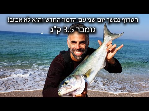 דייג גומבר גדול 3.5 ק"ג על הדמוי החדש שמככב בז'רז'ור הטרוף נמשך - דייג בישראל