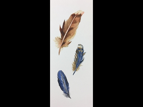 تعلم رسم ريش الطيور بالألوان المائية how to paint feathers with watercolors