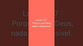 #adoração  #amor #deus #jesuschrist #motivacional #viral #video #feliz #paz