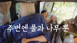 Cool bare grounds view wherever you go in Jeju Island | bare ground car camping in dense forest