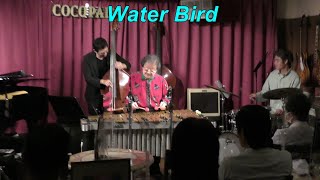 【Water Bird】　/ Takashi Ooi　　Vibraphone (ビブラフォン)大井貴司　　ジャズヴァイブ　　Latin　　Fusion　　Samba　　Rock　　フュージョン