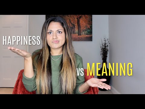 The Pursuit of Meaning Part 1/3 - Happiness vs Meaning