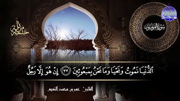 سور #المؤمنون #النور #الفرقان كاملة | بصوت القارئ عمر بن محمد النعيم | جديد الختمات المرتله #المجد