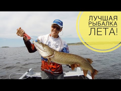 Поймал много рыбы! Крупная щука и судак на джиг. Лучшая летняя рыбалка!