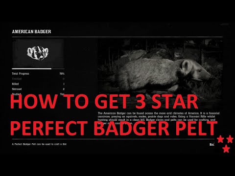 Dead 2 TO GET BADGER PERFECT PELT + 5 LOCATIONS - YouTube