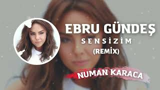 Ebru Gündeş - Sensizim (Numan Karaca Remix) Resimi