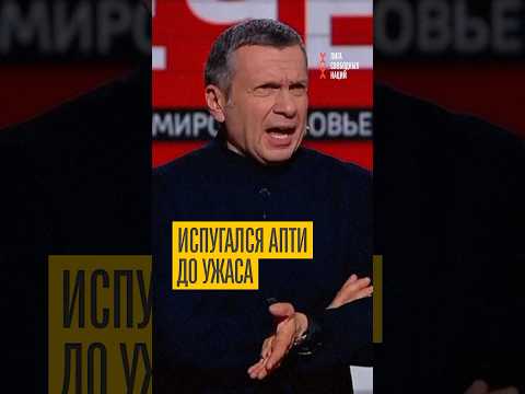 Solovyov Is In A Panic He Turned In His Accomplices Who Attacked Apti Alaudinov