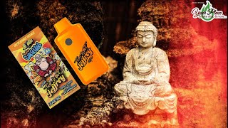 Hixotic Laughing Buddha Review by Your Place LLC