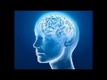 Stress Relief 2 - Isochronic Tones - Brainwave Entrainment Meditation