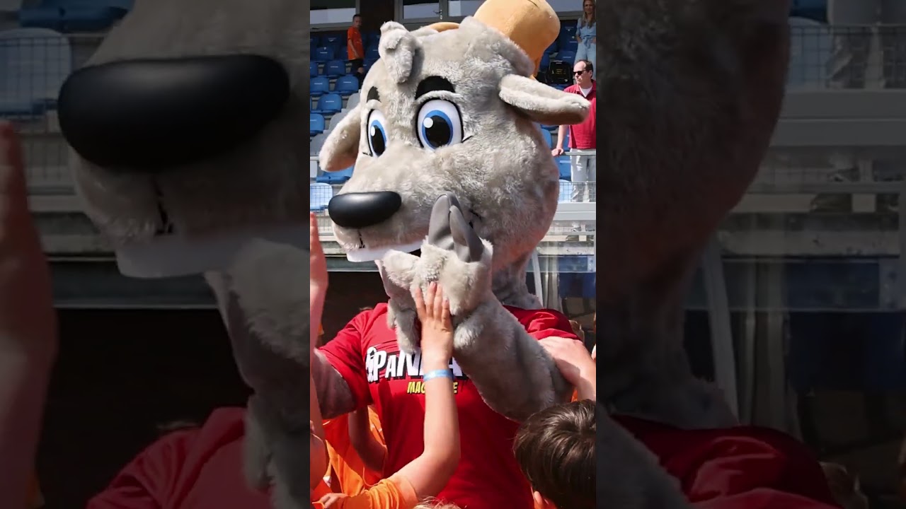 Video story PANNA! Sterrenteam voetbaldag FVC