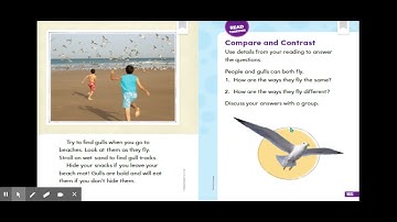 8 HMH MOD 8 WEEK 2 DAY 8 STUDENT SLIDE - Google Slides