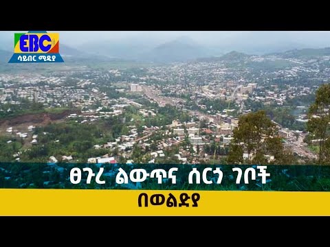 ቪዲዮ: ሰርጎ ገቦች ኩረጃን ሊያውቅ ይችላል?