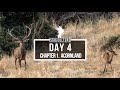 STAG CULTURE DAY 4 - ACORNLAND - PEDRO AND VIC TEAM UP TO GET VIC HER FIRST STAG, WILL VIC GIVE UP?