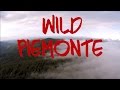 Wild Piemonte - A Motorcycle Tour Guide - 4000 km Alps Part 3/3