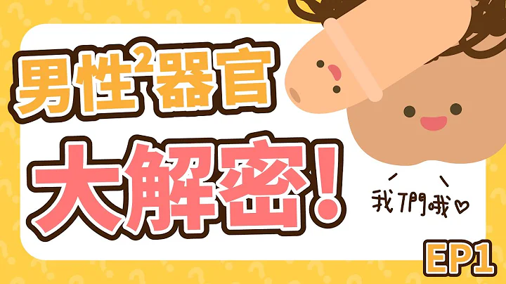 打破迷思！男性性器官全方位解密！【U聊性教育 EP1】 - 天天要聞