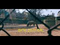 Visiting Central Zoo || Lalitpur Nepal