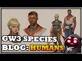 GW3 Species Spotlight: Humans - Aug 13th Guild Wars 3 News