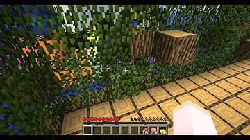 Spatial Distortion Part 1 - /w Max & Dallas