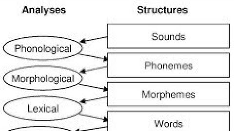 Stylistic Analysis of Literary text or Poem.Morphological level .Graphological level.Grammar level.