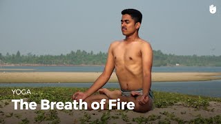 Learn the Breath of Fire - Bastrika Pranayama | Yoga