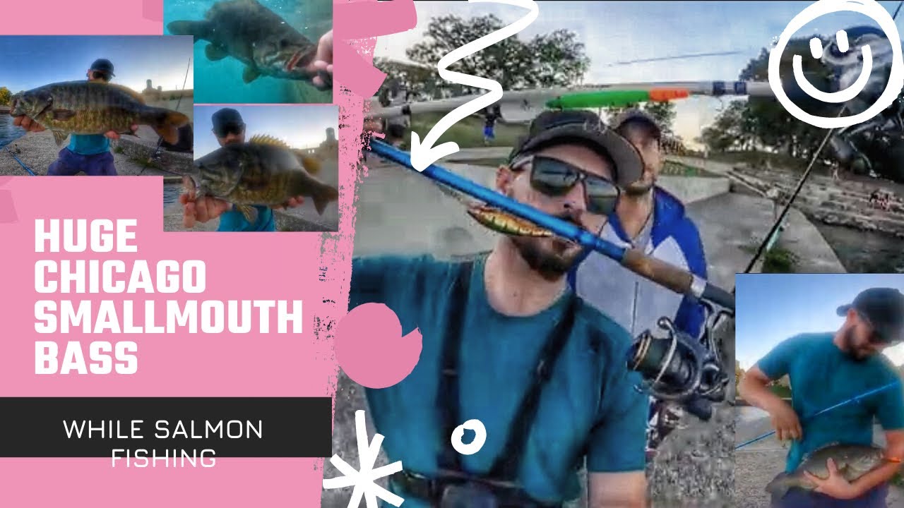 Huge Chicago SmallMouth Bass While Salmon Fishing Chicago Harbor